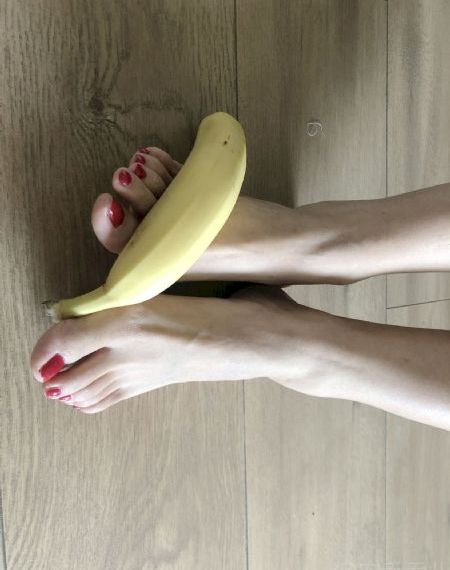 石纪元第四季_DVD在线观看视频