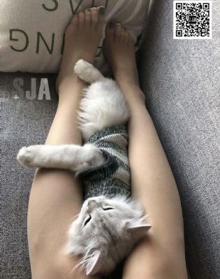 明日之子乐团季_BD韩语电影完整版在线观看