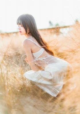 夜晚绽放的向日葵_1080在线观看完整版