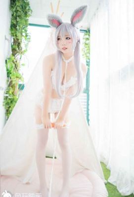 黑狐之风影_超清神马在线观看