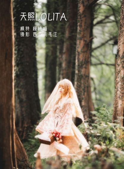 中餐厅第三季在线观看免费高清_高清视频在线观看